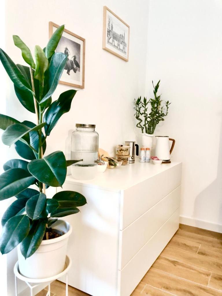 Stanza E Bagno Privato, Idromassaggio Con Extra Fee, In Appartamento Ferrara Luaran gambar